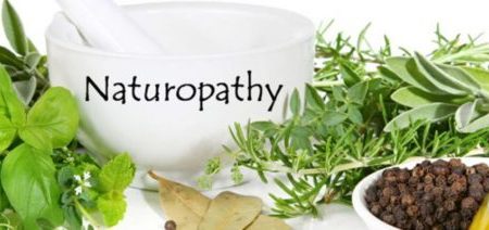 Naturopathy | Its History | Its Benefits and How It Works